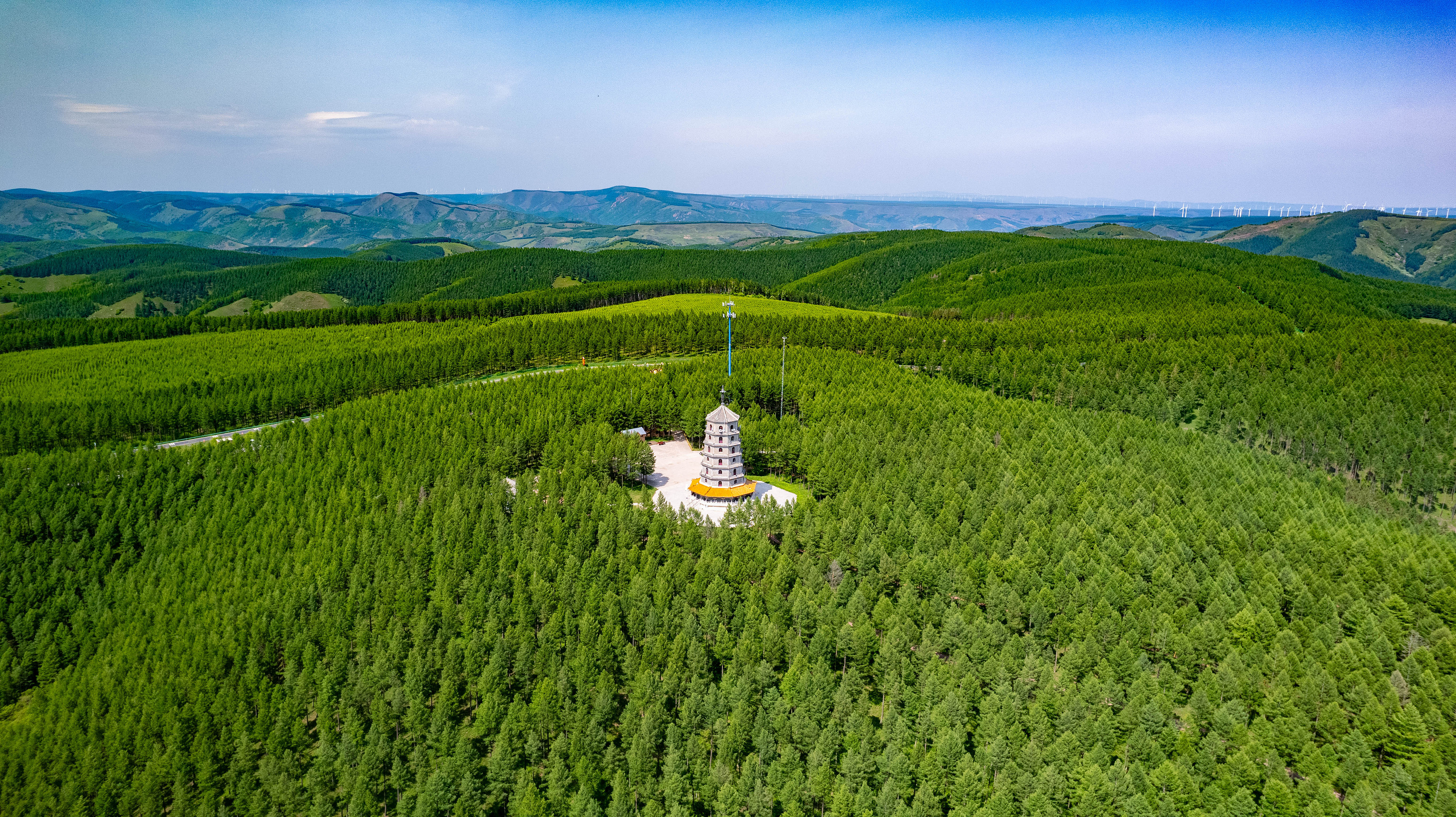 2025年6月11日,河北承德,塞罕坝林海浩渺。