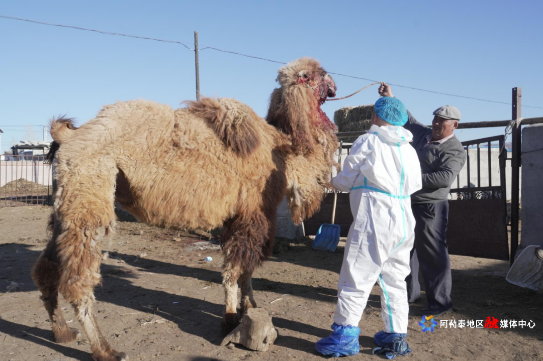 mmexport1775730422893