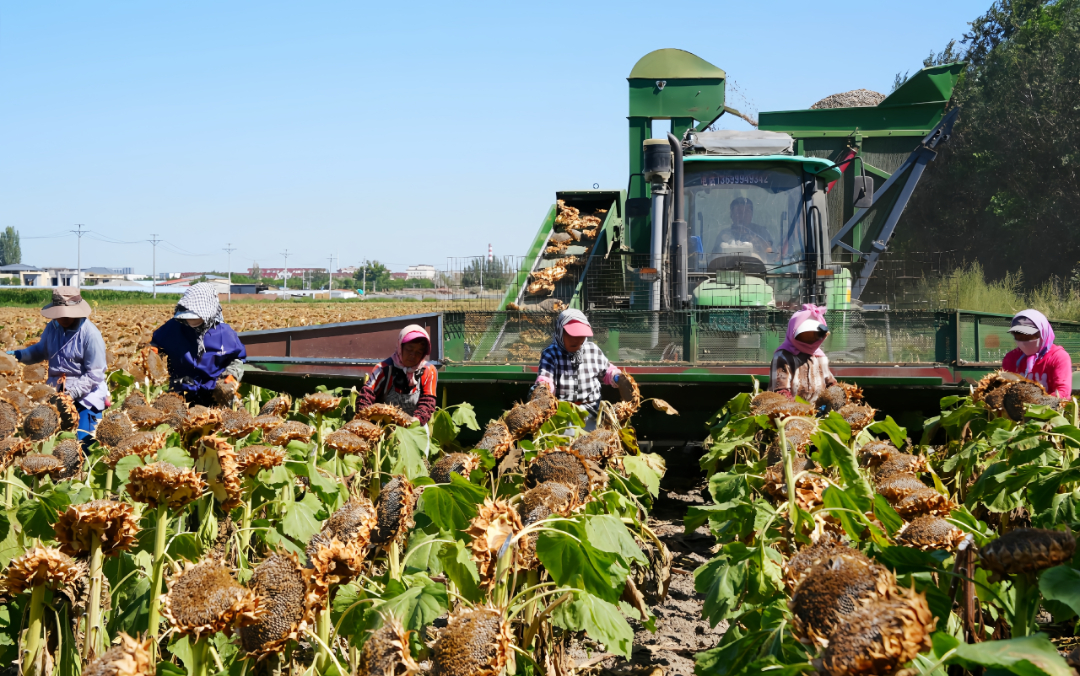DSC07462_副本.jpg