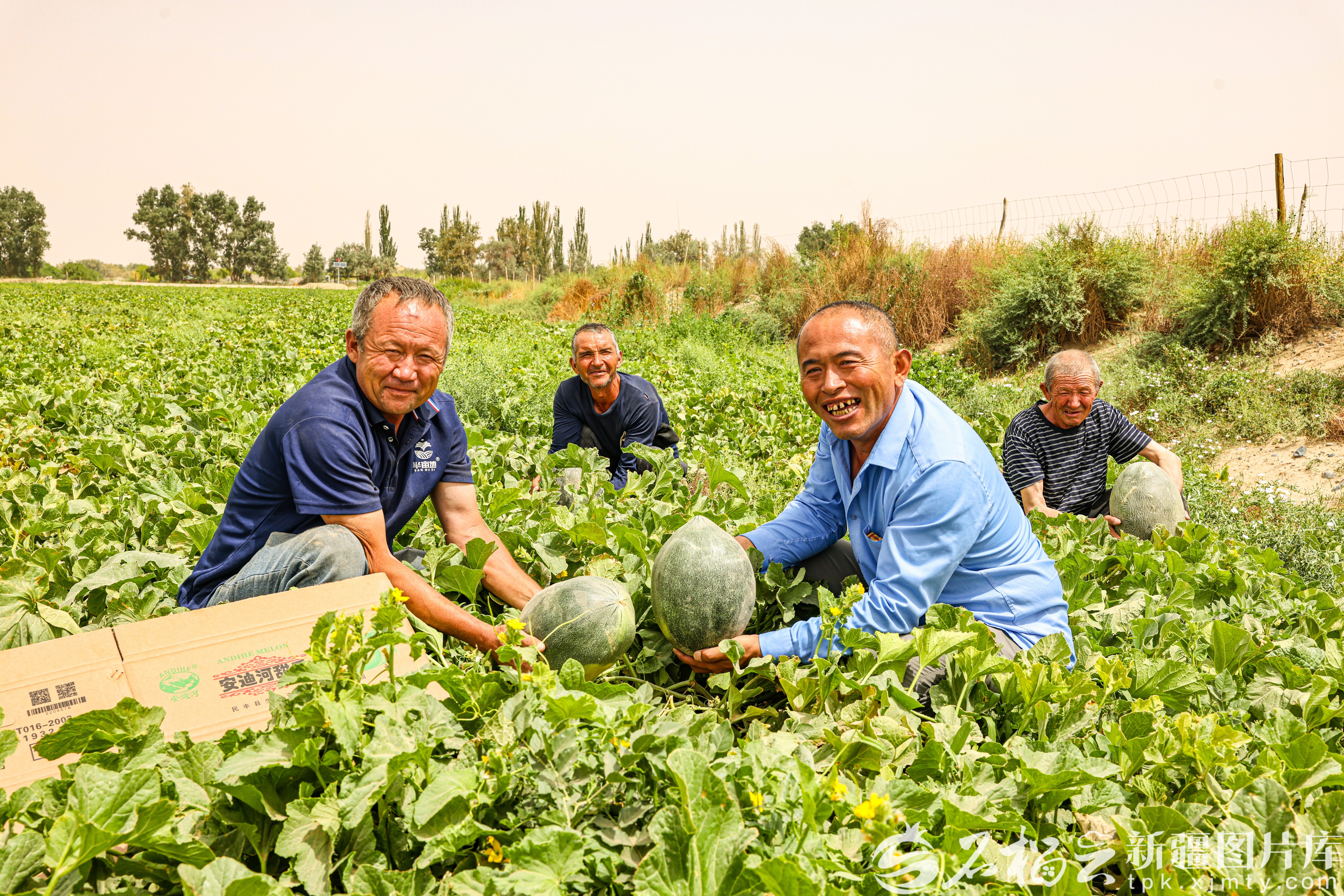 mmexport1761060035254