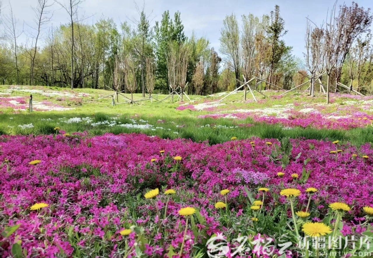 mmexport1767955738128_1767955788668edit