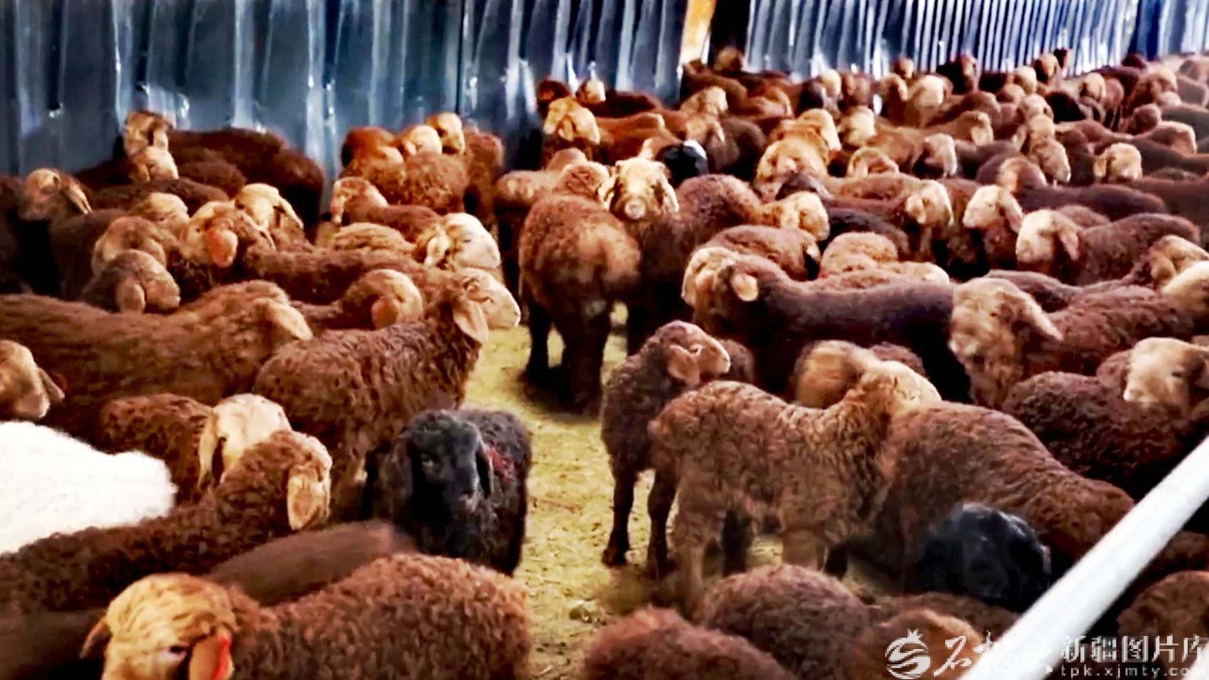 mmexport1772788740837_edit_1091414307439190