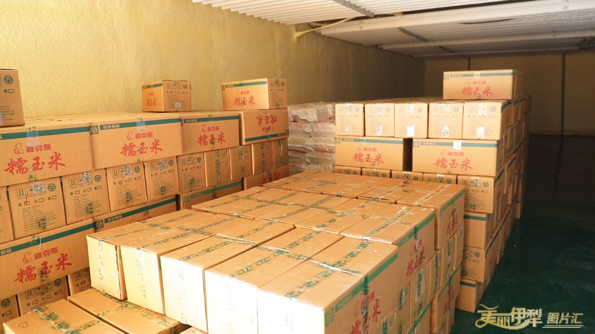 mmexport1775879681395